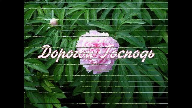 День 38 Женское Счастье в Роду#Род#МолитвызаРод#РодовыеМолитвы#МудростьРода#