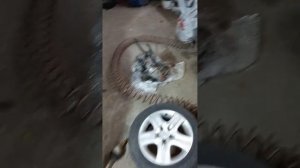 замена акпп на опель астра H 2008  год