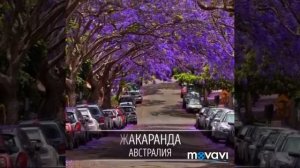 Музыка из Форсажа. Оригинальная версия
