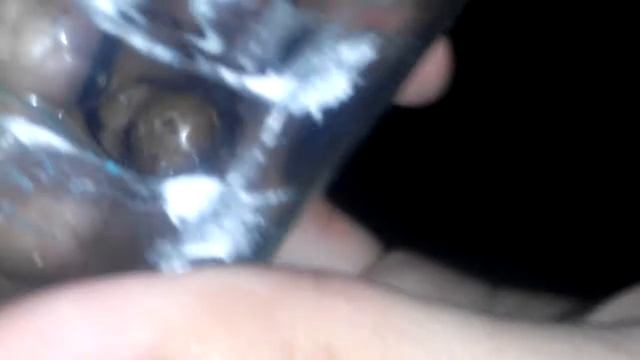 Viuda Marrón (Latrodectus Geometricus) -Luis,Ronal смотреть онлайн