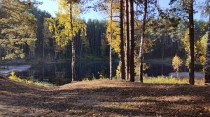 Армянский дудук, флейта и саксофон.