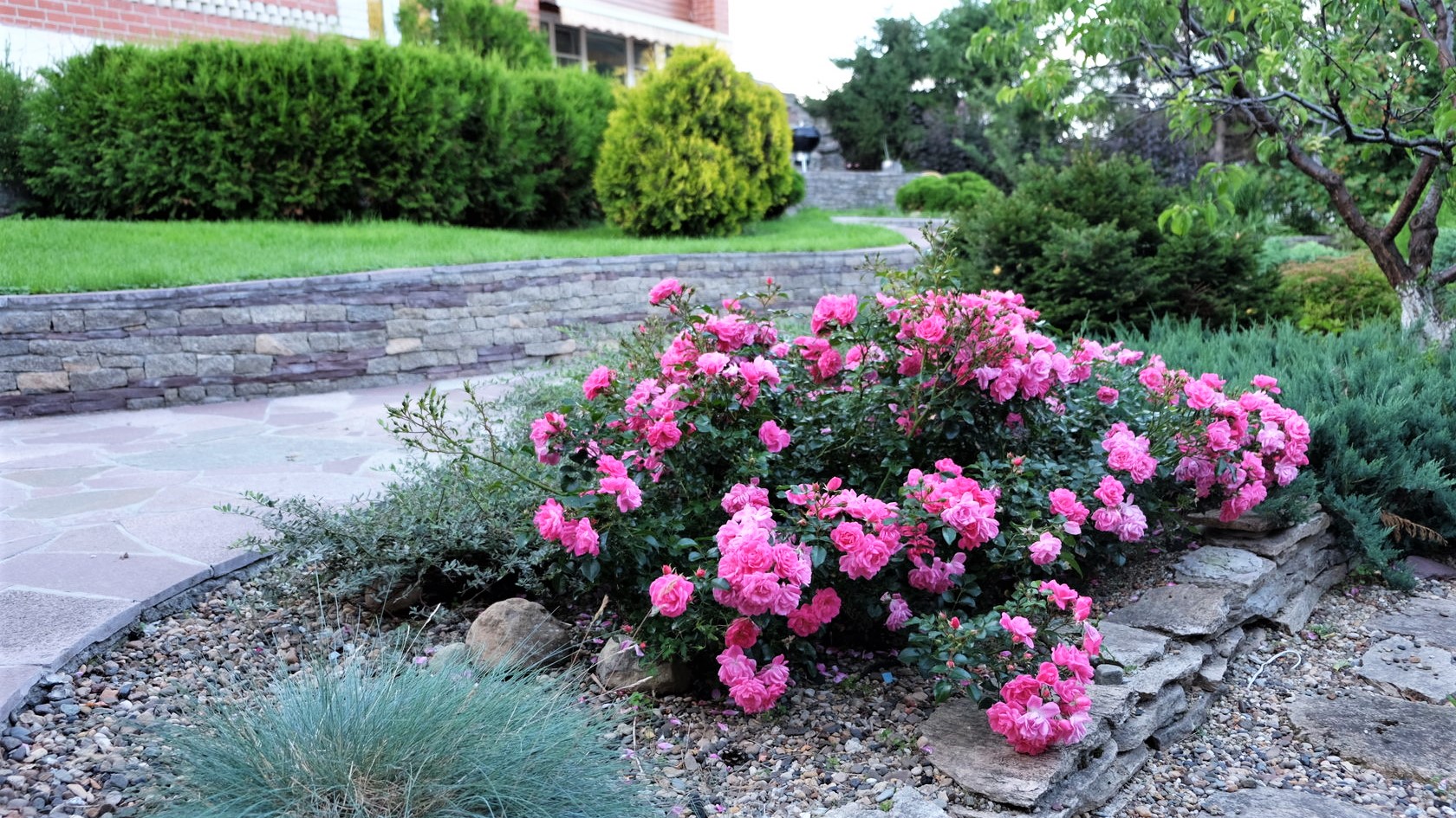 ?Прекрасные примеры озеленения и декорирования садового участка / Garden Decor Examples / A - Video