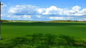 Футаж Луга и поля под голубым небом. Футажи для видеомонтажа. Зеленые Поля, Зеленые Луга Видеофутаж