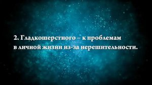 К чему снится кормить котенка - Онлайн Сонник Эксперт