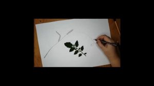 Рисунок Основы изобразительного искусства