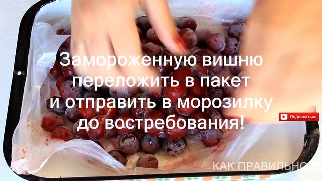 как правильно заморозить вишню на зиму / How To Freeze Cherries