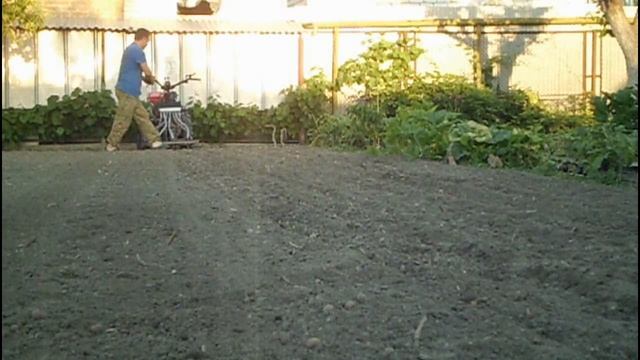 ПОСЕВ ГОРЧИЦЫ НА СИДЕРАТ... смотреть онлайн