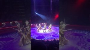 Цирк Никулина на Цветном Бульваре.#цирк #тренды