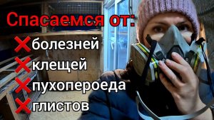 Дезинфекция курятника. Как избавиться от пухопероеда, клеща, глистов и болезней.