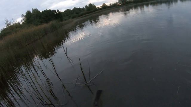 Охота на утку 2019. Duck hunting смотреть онлайн