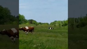 с. Болотниково, Лямбирский район Республики Мордовия