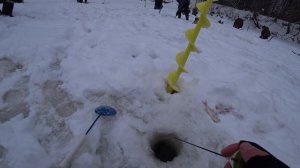 Безмотылка колокольчик! Лучшие поклёвки с воскресной рыбалки!