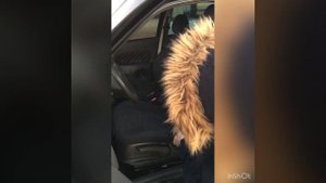 Сиденья от Соляриса/Рио на приору