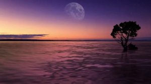 Аспектариум. Т.4. Квадрат Луна/Меркурий. Ч.2