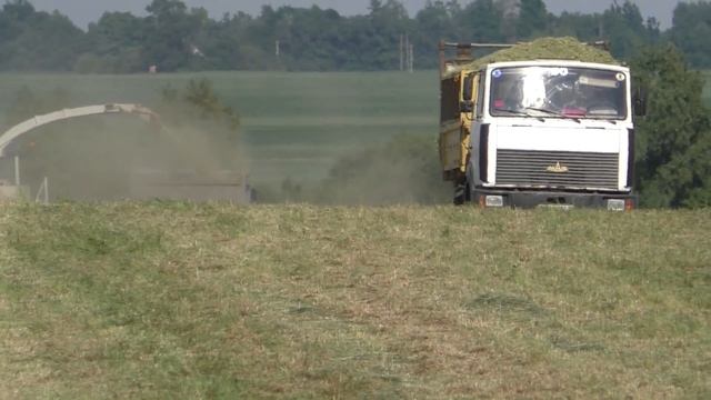 сгребание травы в валки для измельчения CLAAS JAGUAR 870 смотреть онлайн