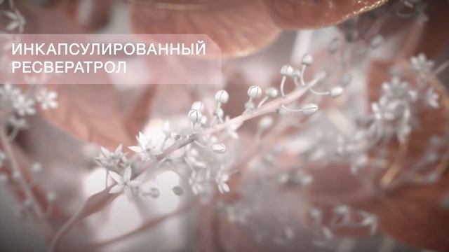 Волшебный набор смотреть онлайн