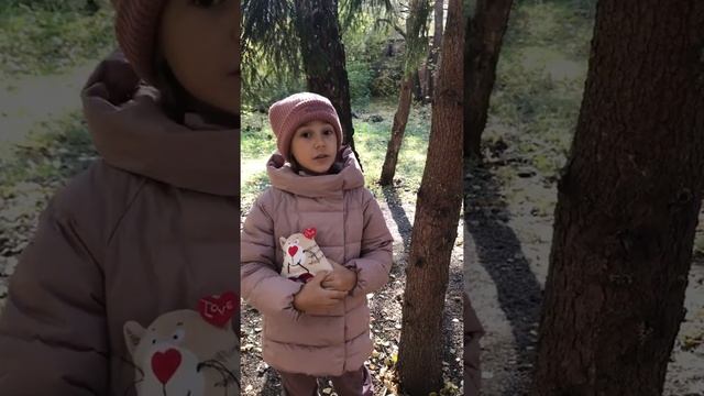 Осень -любимая пора великого русского поэта А.С. Пушкина . В это время всегда вспоминаются его стих смотреть онлайн