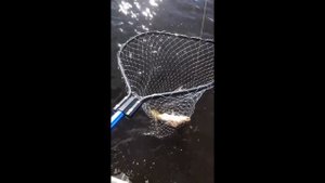 Ловим судака. Рыбинка. Рыбалка на Рыбинском водохранилище.