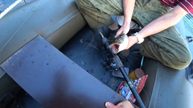 ДВА ДОЛ........БА ПРОЕ.......ЛИ ВЕРШУ. РЫБАЛКА В РЯЗАНИ НА СПИНИНГ. ОГРОМНЫЕ ЩЮКИ смотреть онлайн