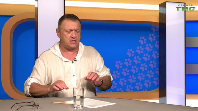 "Эксперты об агрессивных собаках" / "Хочу домой!" от 12.07.2024