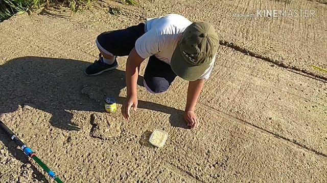 Рыбалка на пруду, донка, поплавочная удочка, видео 1 смотреть онлайн