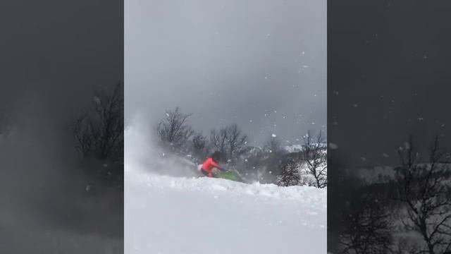 Insane Arctic Cat Flip смотреть онлайн