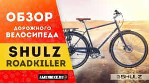 Дорожный велосипед Shulz Roadkiller 7 Disk