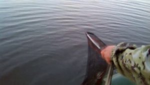 Рыбалка на Озере Шибаево "Щука"