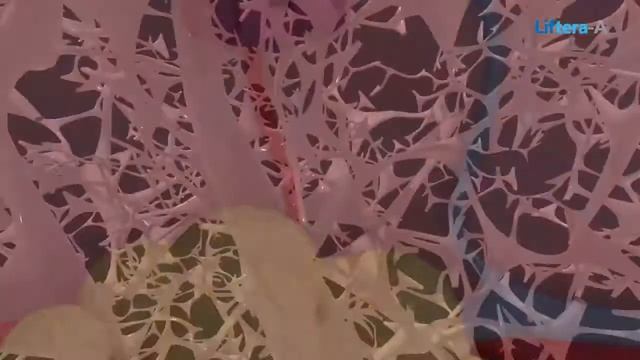 Ультразвуковой лифтинг LIFTERA A смотреть онлайн