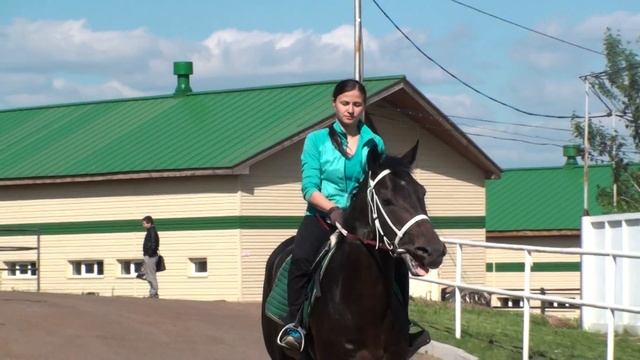 Айгуль на жер Арктик Колд смотреть онлайн