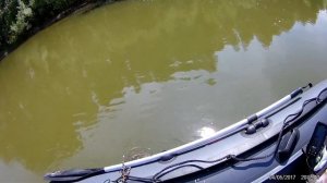 Не плохая рыбалка на Оби Ташара!  щука судак окунь!02 07 2021 Вся рыба с одного места!