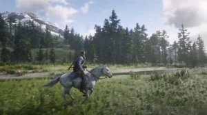 Red Dead Redemption 2  - (Wild) White Roan Nokota