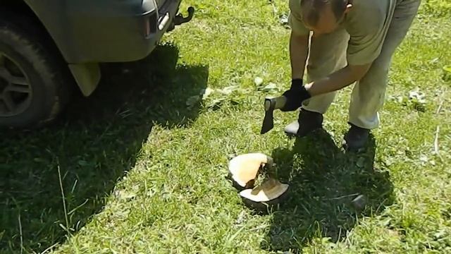 ГОТОВИМ ГНИЛУШКИ ДЛЯ ДЫМАРЯ смотреть онлайн