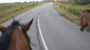 Верхом на лошади