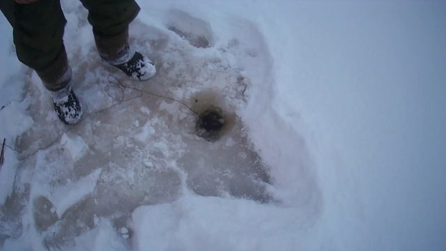 Зимняя рыбалка