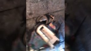 замена датчика бензонасоса jeep grand cherokee zj 1993