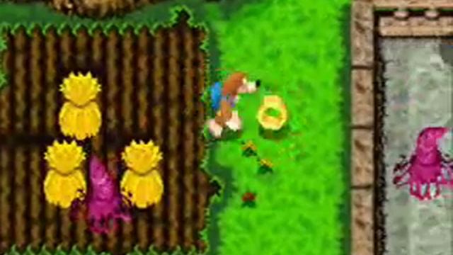 Banjo Kazooie Grunty's Revenge Walkthrough 1# смотреть онлайн