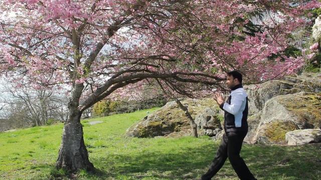 Qi Gong Routine for Stress, Anxiety, and Energy w/ Jeff Chand смотреть онлайн