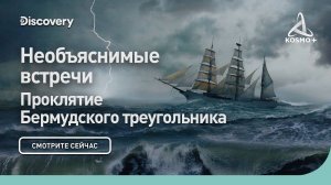 ПРОКЛЯТИЕ БЕРМУДСКОГО ТРЕУГОЛЬНИКА: НЕОБЪЯСНИМЫЕ ВСТРЕЧИ | DISCOVERY