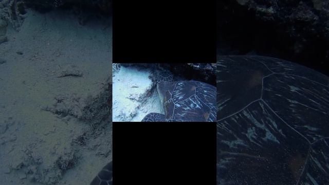 музыка для медитации 4:00 звук волн 🌊❤️👍 смотреть онлайн