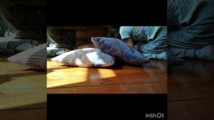 Тайный домик под кроватью !!! как сделать домик под кроватью. Алёна и Сандра