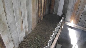 Разведение кроликов,кролики в яме или кролики:НАЧАЛО ч.1