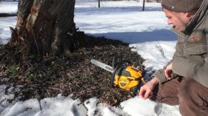 Первый запуск бензопилы.