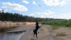 Сплав на байдарках по реке Молога. Июнь 2023.