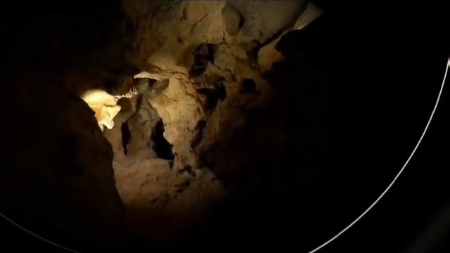 Фотограф пресс-службы КФУ стал бронзовым призёром премии "За верность науке" смотреть онлайн