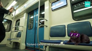 Регулирование температуры в вагоне метро | Кот Бублик