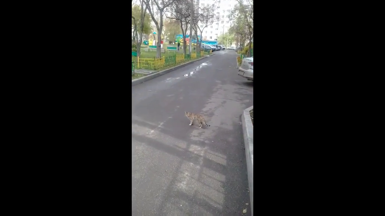 Посрал и свалил ?