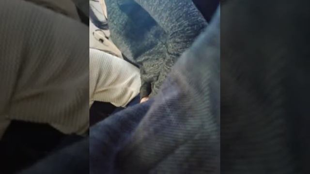 Учимся работать оператором в колл-центре интернет - магазина смотреть онлайн