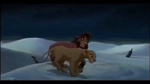 Кову и Киара зачем придумали любовь