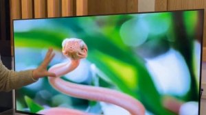 Телевизор Xiaomi TV A2 32 СПУСТЯ ПОЛГОДА